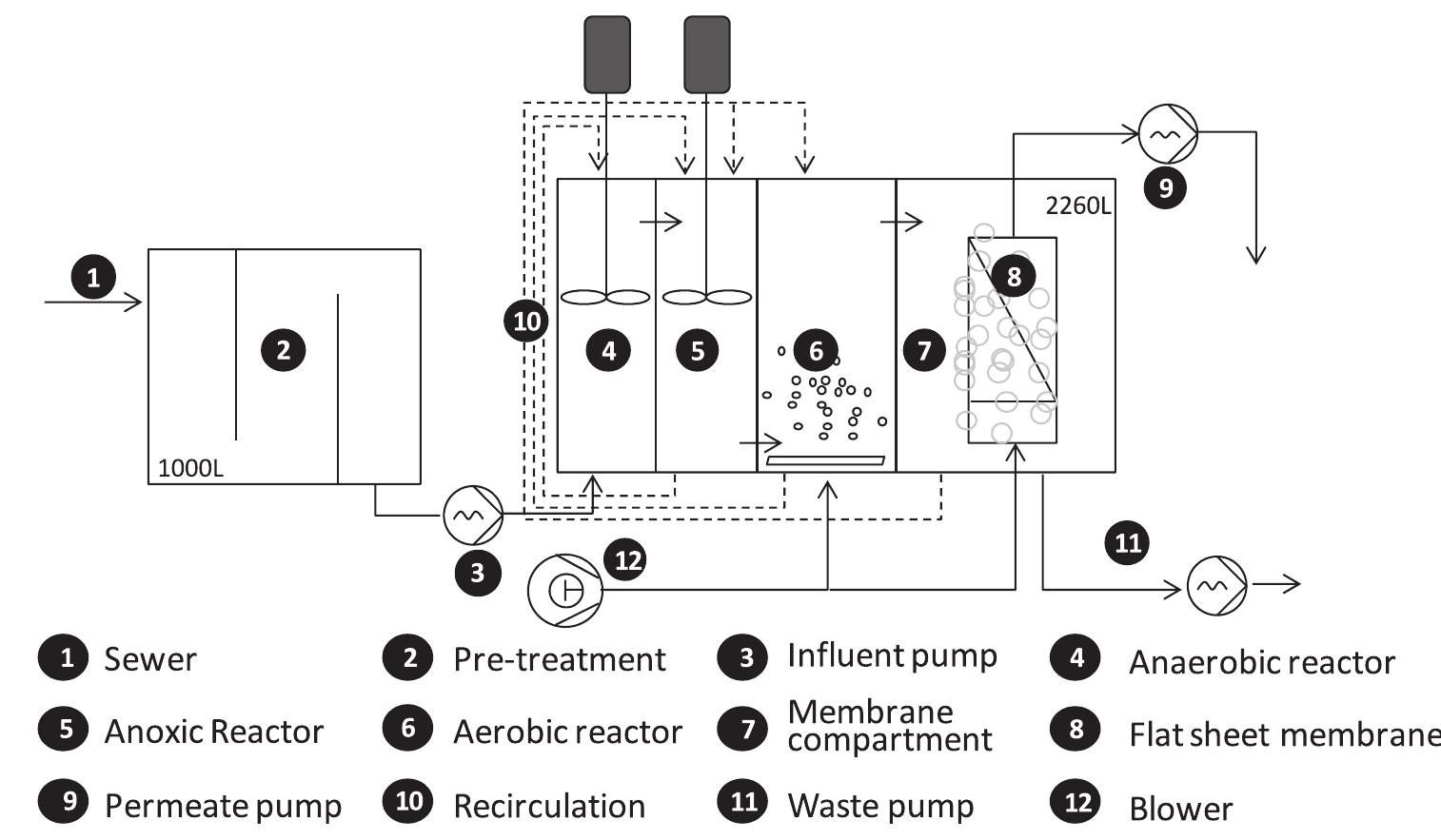 Mbr Indicator (PDF) Removal of microbial indicators from municipal wastewater by a ...