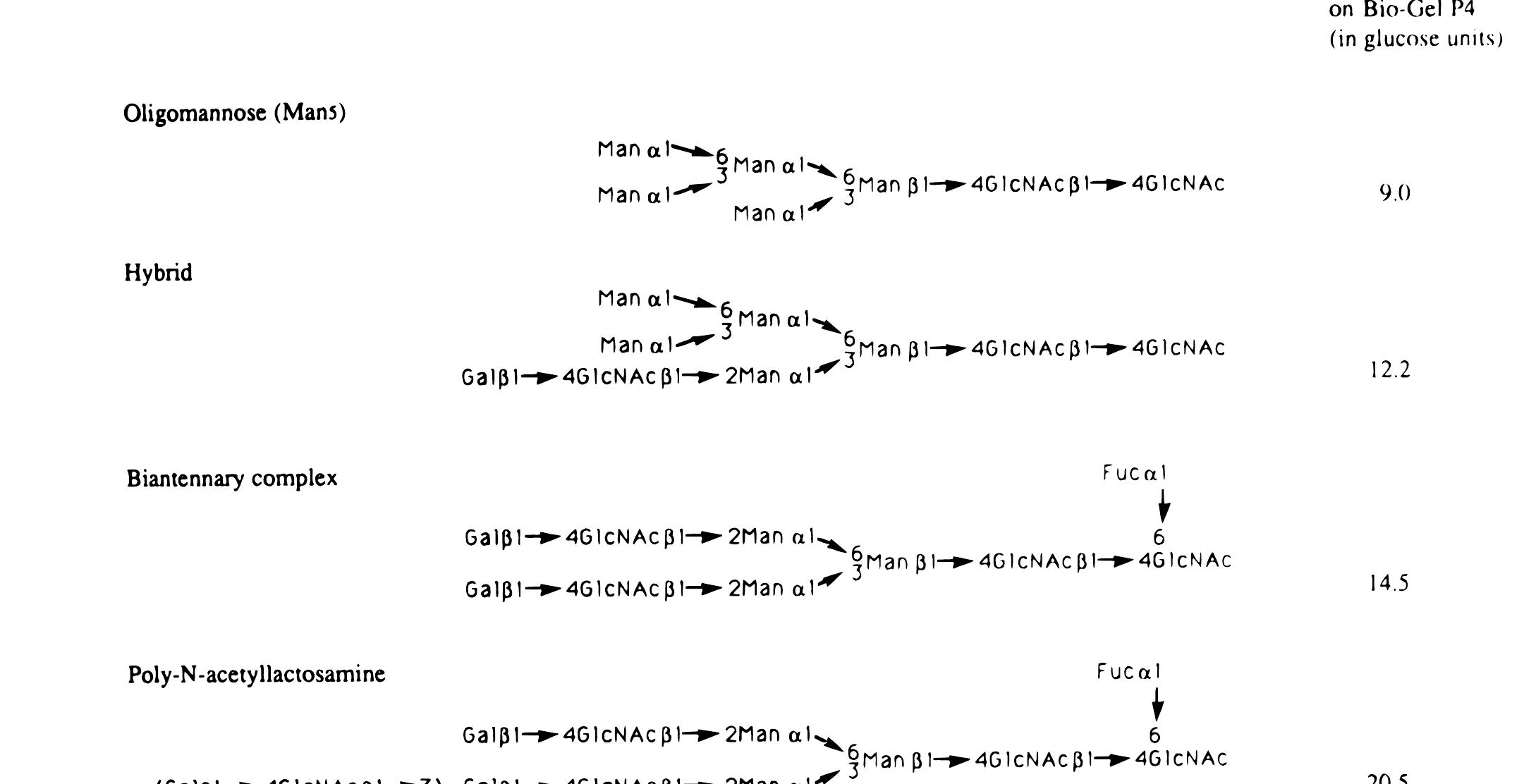 , examples of the structure of the different types of