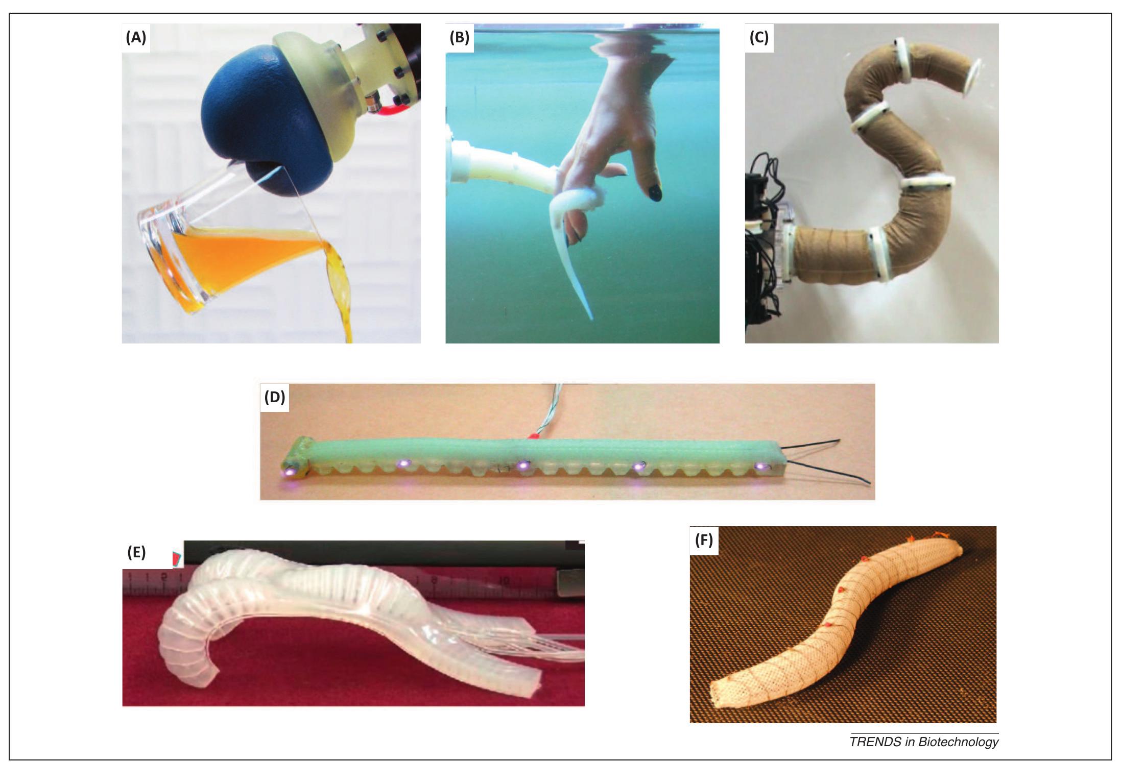 (PDF) Soft robotics: a bioinspired evolution in robotics