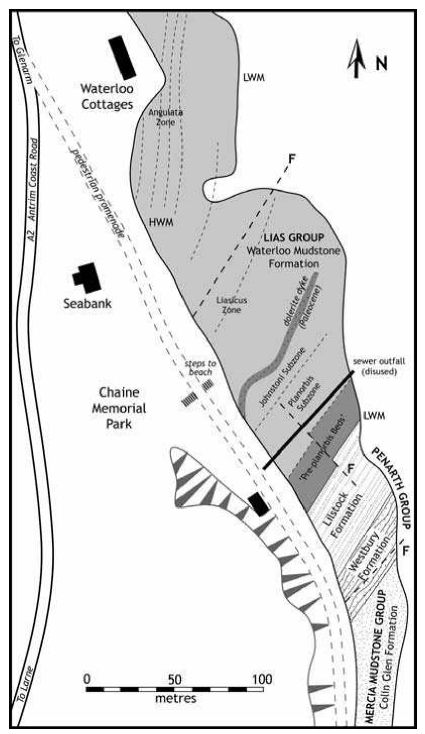 Sketch map of the triassic and jurassic strata exposed on
