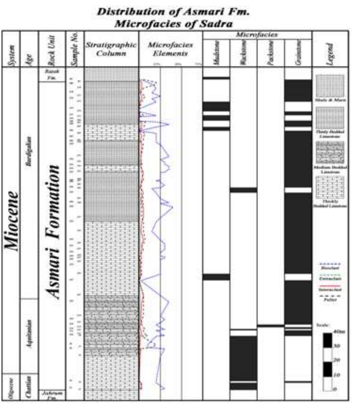 (PDF) Microbiostratigraphy, microfacies and sequence stratigraphy of ...