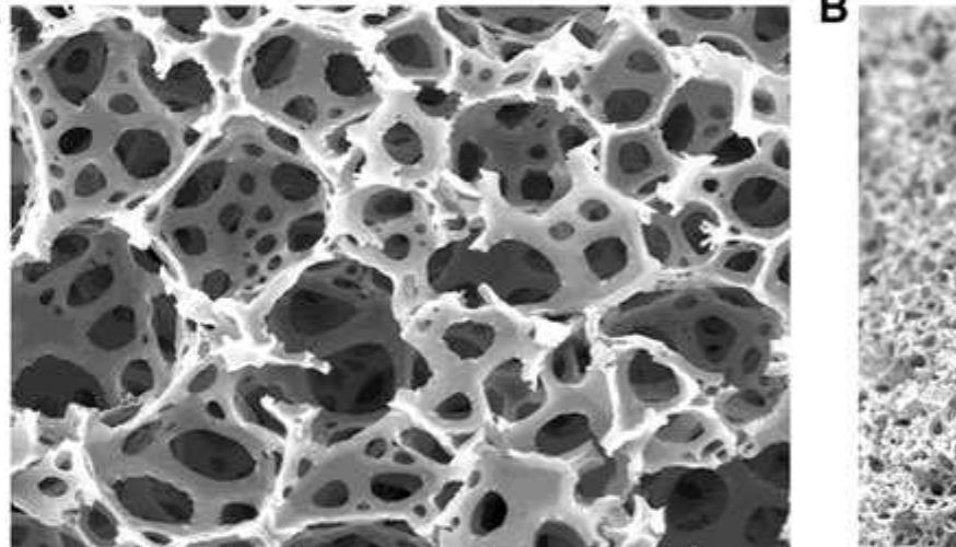 saki PDF) Recent advances in 2D and 3D in vitro systems using