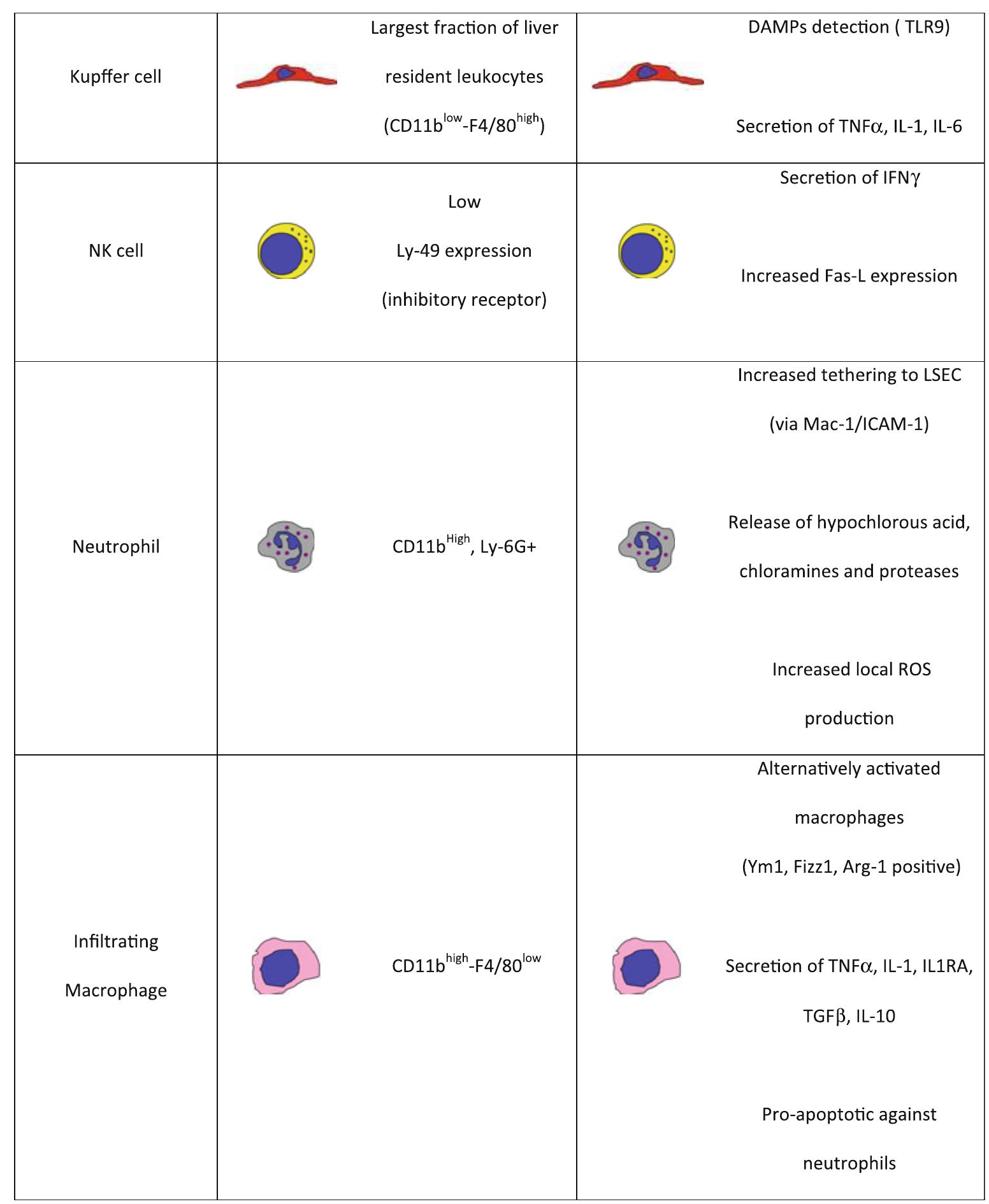 PDF) Recent advances in 2D and 3D in vitro systems using