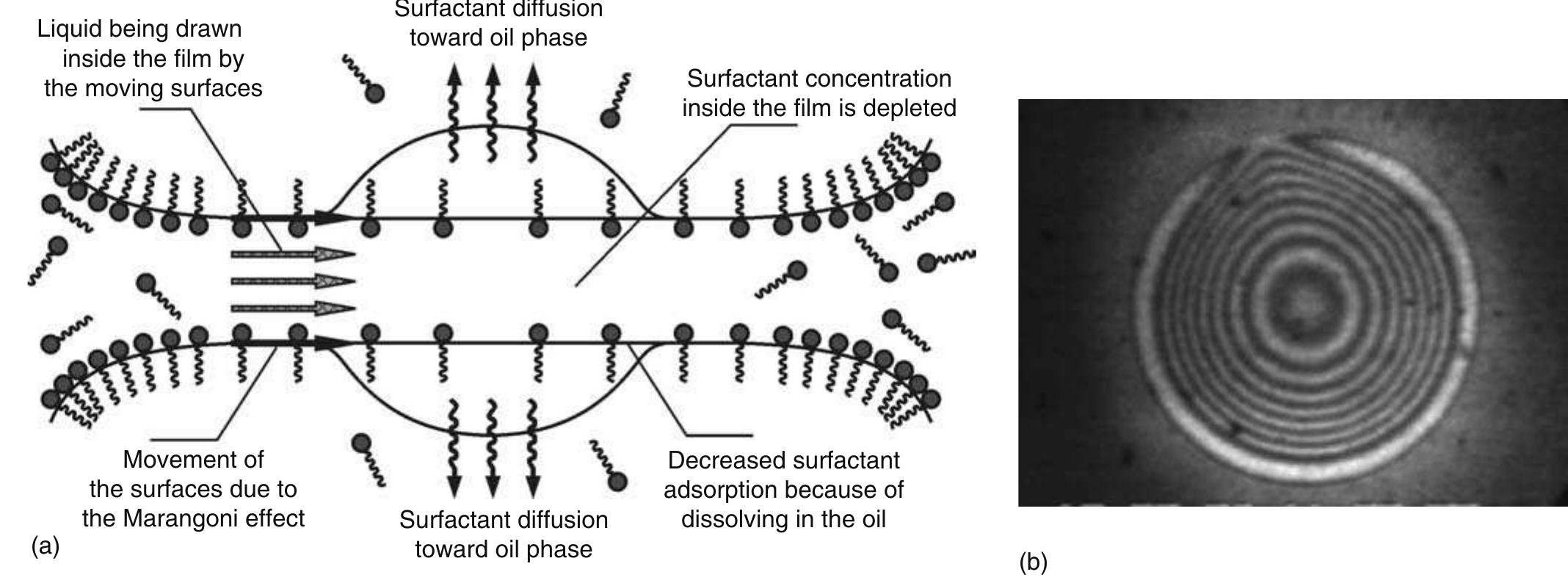 PDF) Chemical physics of colloid systems and interfaces