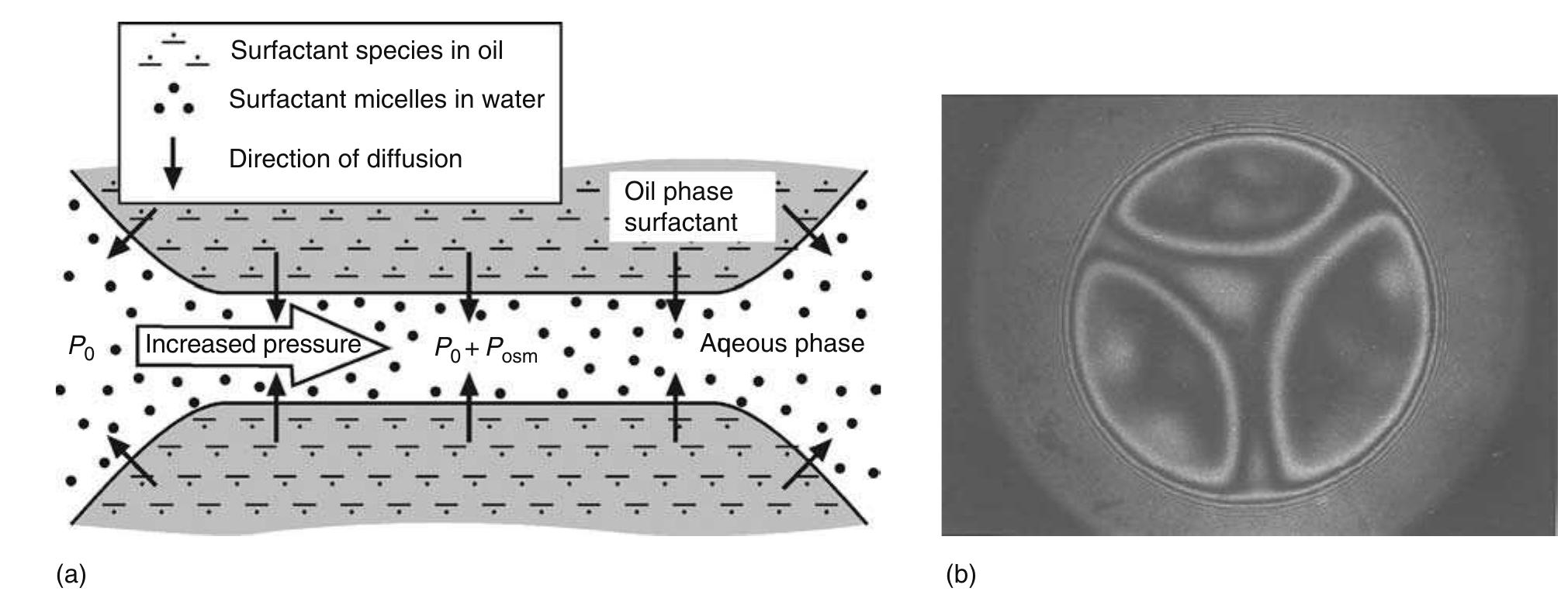 PDF) Chemical physics of colloid systems and interfaces