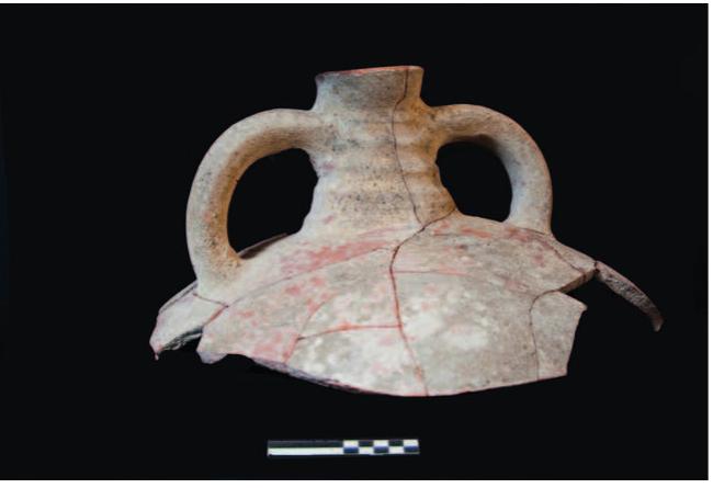 Byzantine slip painted ware  “  The Gortynian Byzantine slip painted ware consists of 26 fragments, belonging to 16 vessels; amongst the diagnostic sherds, there can be num- bered 6 bases, 5 rims, 12 walls (of which 3 necks), and a half-complete vessel. The study of this assemblage has been based principally upon the typological study lead by E. C. Vitale (Vitale 2008);’° a first study of the Byzantine painted vessel from Annex II has already been published by A. Colangelo and A. Stiglia- no (Colangelo & Stigliano 2013), whose conclusions are here confirmed. The 