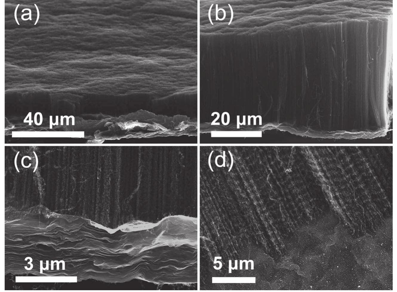 (PDF) Vertically aligned carbon nanotubes grown on geometrically ...