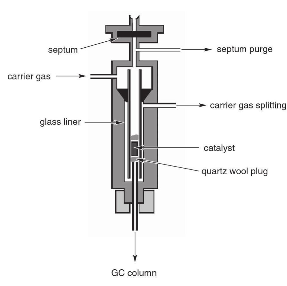 Schematic representation of the gc injector with a cata-