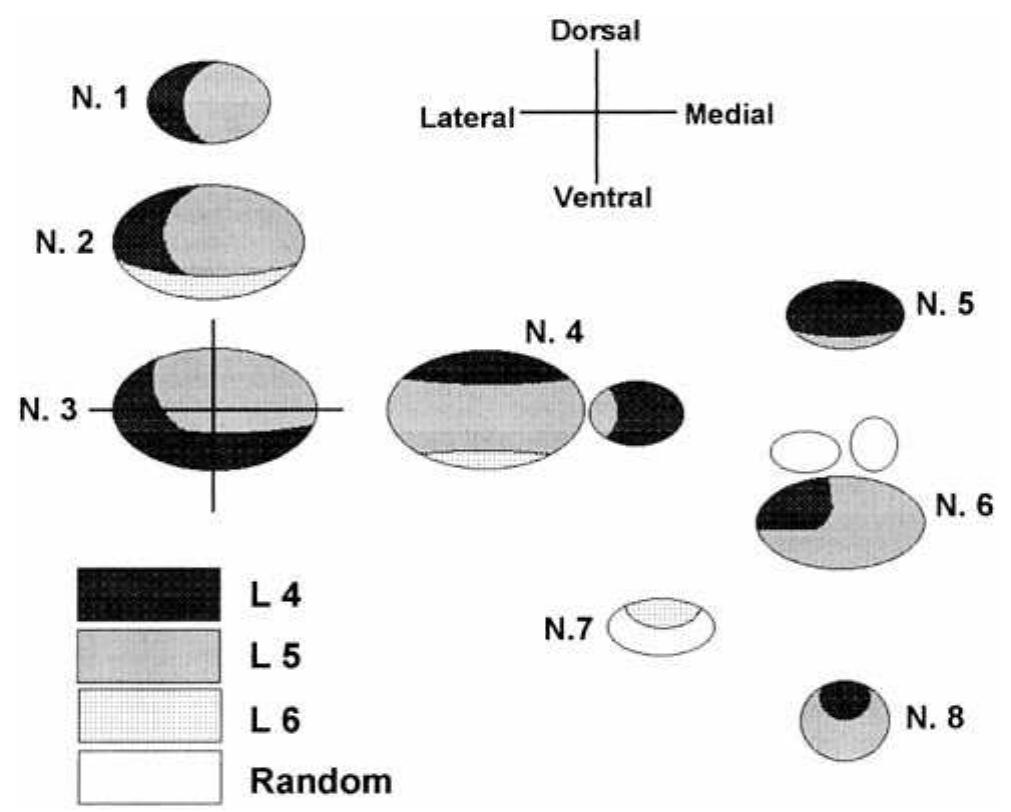 Functional Deficiency Figure 4 - from Relationship between Functional Deficiencies