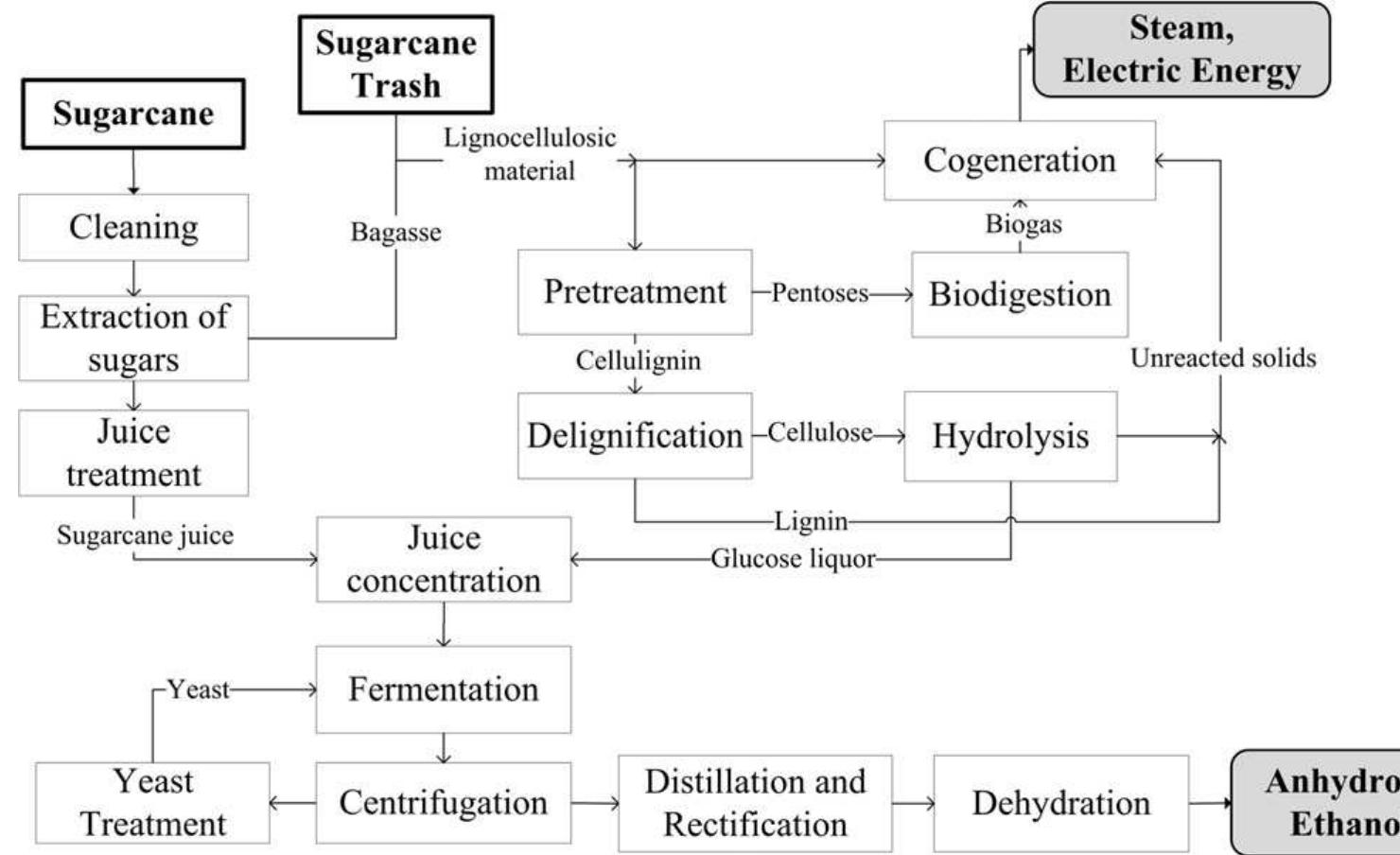 (PDF) Improving second generation ethanol production through ...