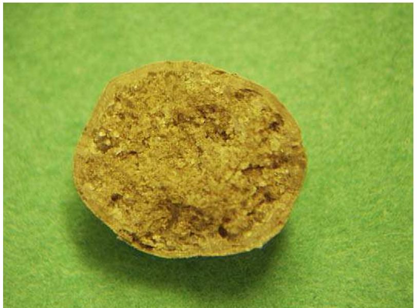Suture as a foreign object nidus in a struvite urolith from