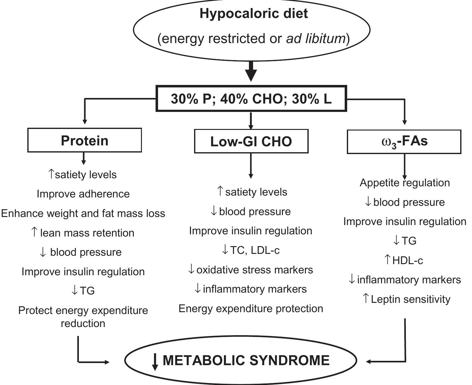 Figure 1 - Obesity and the metabolic syndrome: role of