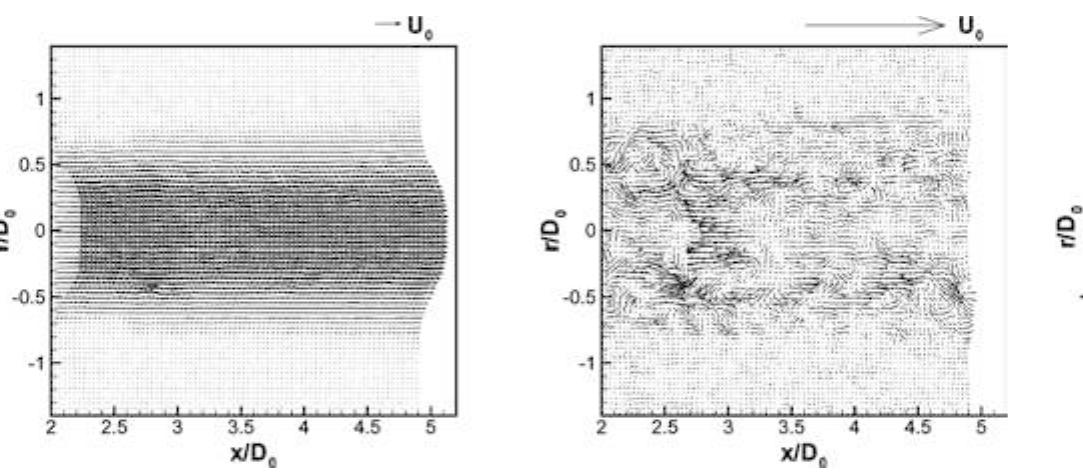 A typical instantaneous velocity field (left) and its