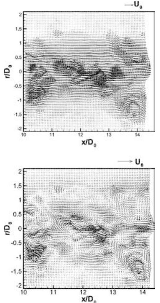 A typical instantaneous velocity field (left) and its