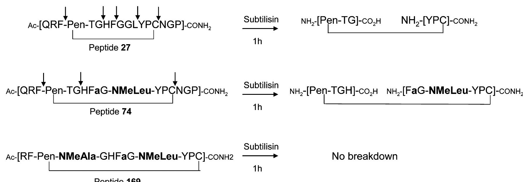 Schematic representation of the observed cleavage sites