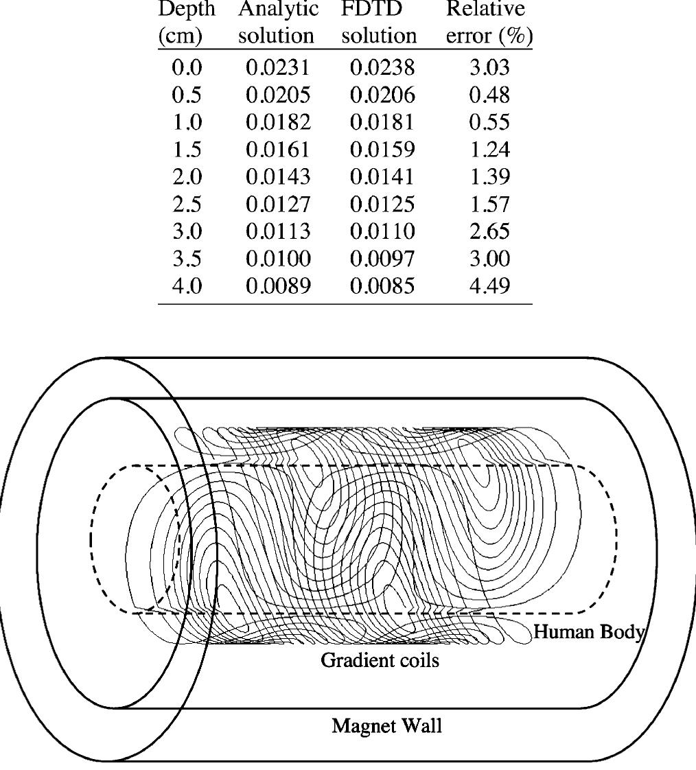 Figure 1 - An FDTD Model for Calculation of Gradient-Induced