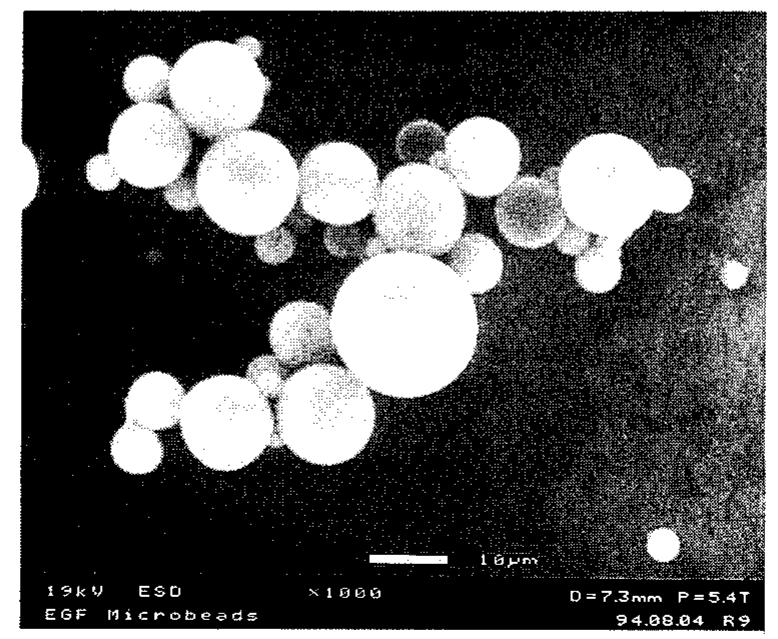 Photomicrograph of polymer microspheres. a scanning electron