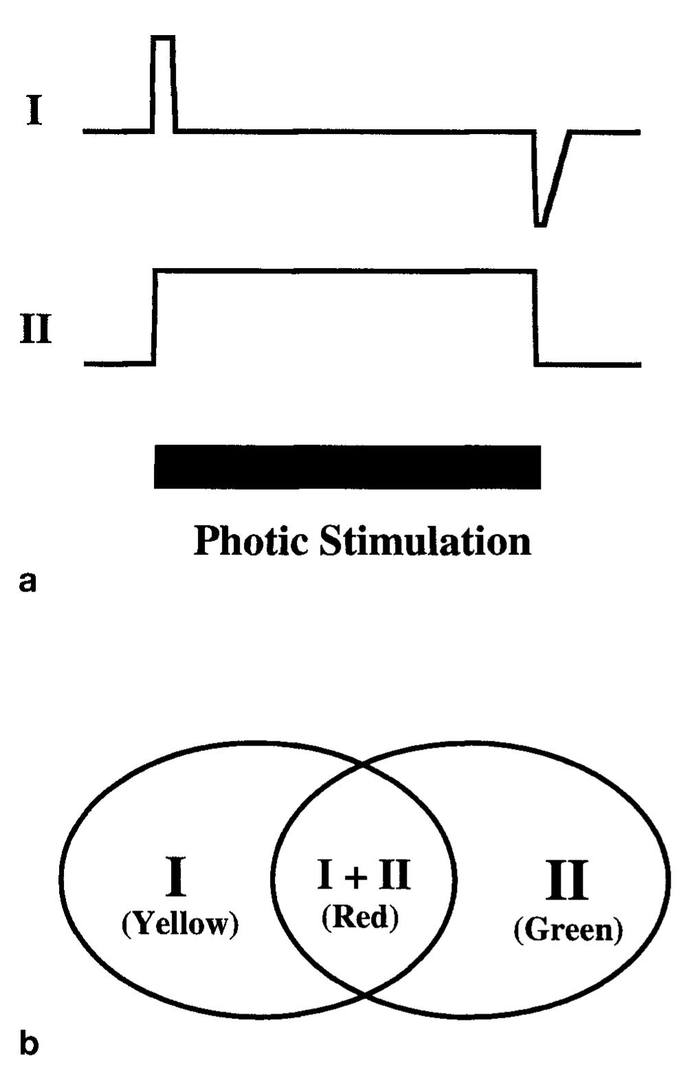 (PDF) Spatial and temporal differentiation of fMRI BOLD response in ...