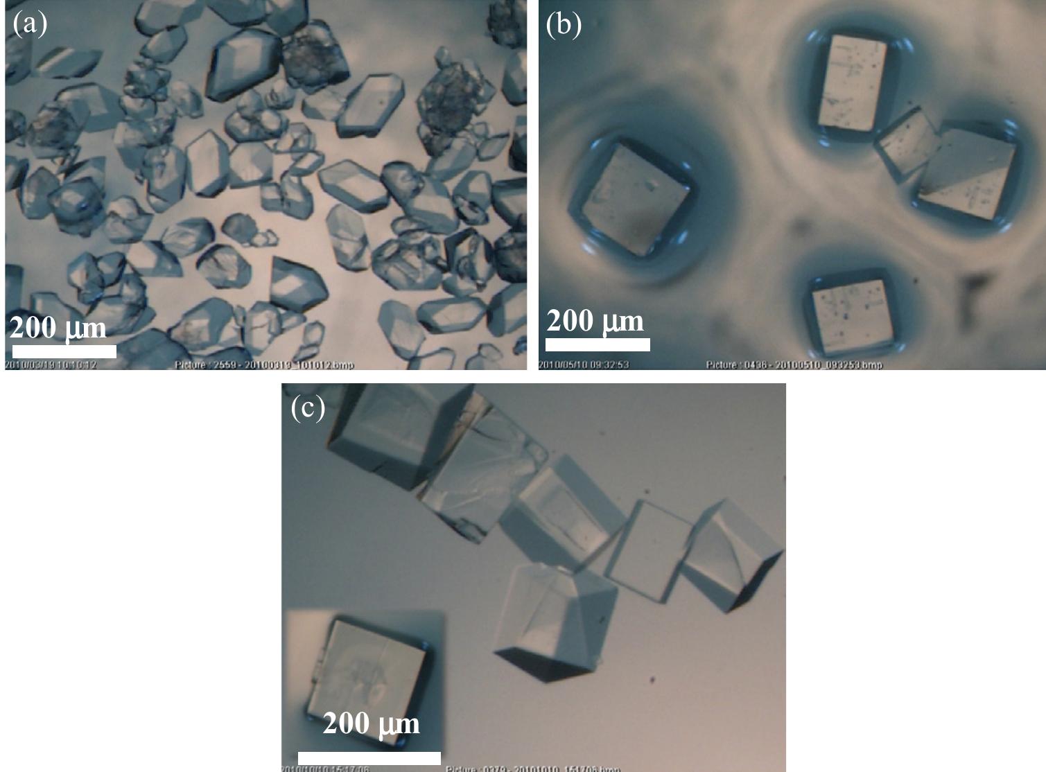 Figure 1. Microscope images of crystalline materials synthesized in DMF at 80°C, 12h, pH 4.18, [H»BDC] : Zn?* = 1: 1, [H;BDC] = 0.1 M (a, BZ1), in DMF at 100°C, 24h, pH 4.82, [H,BDC] : Zn?* = 1 : 4, [H] BDC] = 0.01 M (b, BZ2/DMP), in DEF at 100°C, 24h, pH 4.64, [H)BDC] : Zn?* = 1 : 4, [HyBDC] = 0.01 M (c, BZ2/DEP).  2.2.2. Synthesis of MOFs from azobenzene-1,4-dicarboxylic acid and zinc nitrate. The mixtures with mole ratios of H,ABD to zinc nitrate (H,ABD: Zn) varying from 1:1 to 1:5 were dissolved in 10 ml DMF. In each experiment with a certain H»ABD : Zn mole ratio, the concentration of HxABD was varied from 0.01 M to 0.001 M. The reaction mixture was put in a 20 ml reaction vial, which was capped and heated in an isothermal oven from 80°C to 100°C for 12—72 h, and then cooled to room temperature. The red sheet-shaped crystals were collected by decanting from mother liquor. The washing and solvent exchange procedures were the same as described above in section 2.2.1. Finally, the crystals were dried under vacuum at 150°C for 10h.  XA-Tay diffraction data were recorded on a Do Advance Bruker powder diffractometer with Cu-Ka radiation (A = 1.542 A). The thermal behavior of synthesized materials was recorded on a TGA Q500 analyzer with a heating rate of 10°C min! in nitrogen. Nitrogen physisorption measurements were carried out on a Quantachrome  Autosorb-1C system. Prior to the measurement, the sample was outgassed at 150—200°C for 10h. 