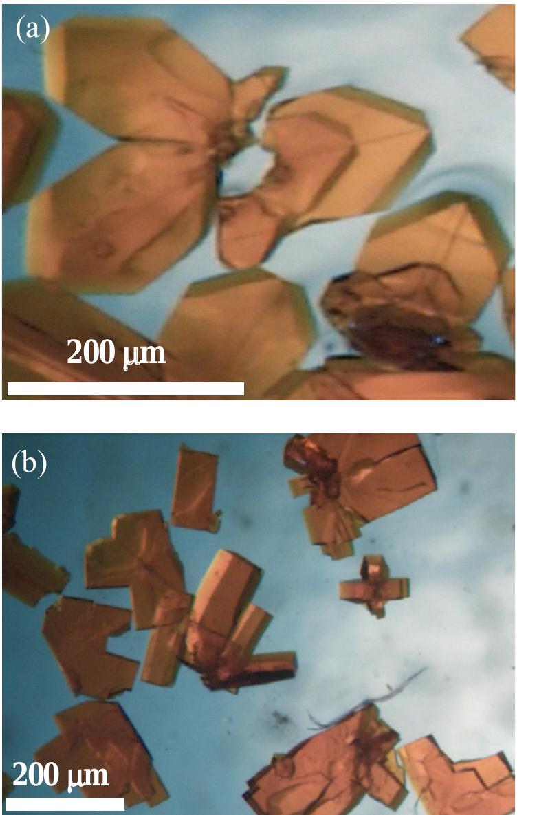Figure 2. Microscope images of crystalline materials synthesized in DMF at 90°C, [H>ABD]: Zn** = 1 : 1, [H,ABD] =0.01M (a, AZ1), at 85°C, [H,ABD]: Zn** = 2: 5, [H; ABD] = 0.004M (b, AZ2).  3.1.2. MOFs from azobenzene-1,4-dicarboxylic acid and zinc nitrate. The products of the reaction of zinc nitrate and H,ABD in DMF were coded as AZ1 and AZ2. Compound AZI was formed at equivalent HyABD: Zn mole ratio and 0.010M concentration of H2ABD (figure 2(a)). When this concentration was reduced to a very low value of 0.004M and H,ABD : Zn mole ratio was decreased to 2 : 5, the product AZ2 was obtained. 