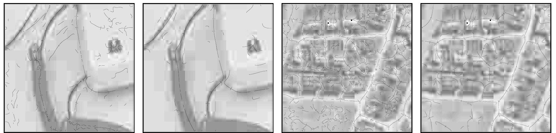 Horizontal Ridge Defects Examples of differential geometric ridge detection (without