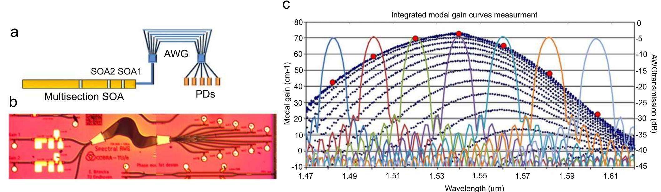 Chip Sampling Method (a) schematic, (b) microscope photo and (c) sampling
