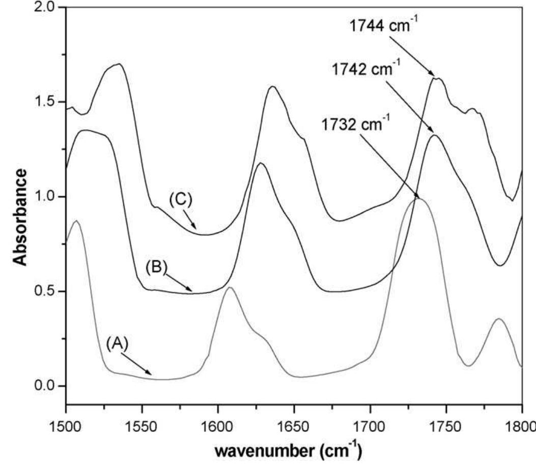 The carbonyl stretch region of the ftir spectra for neat