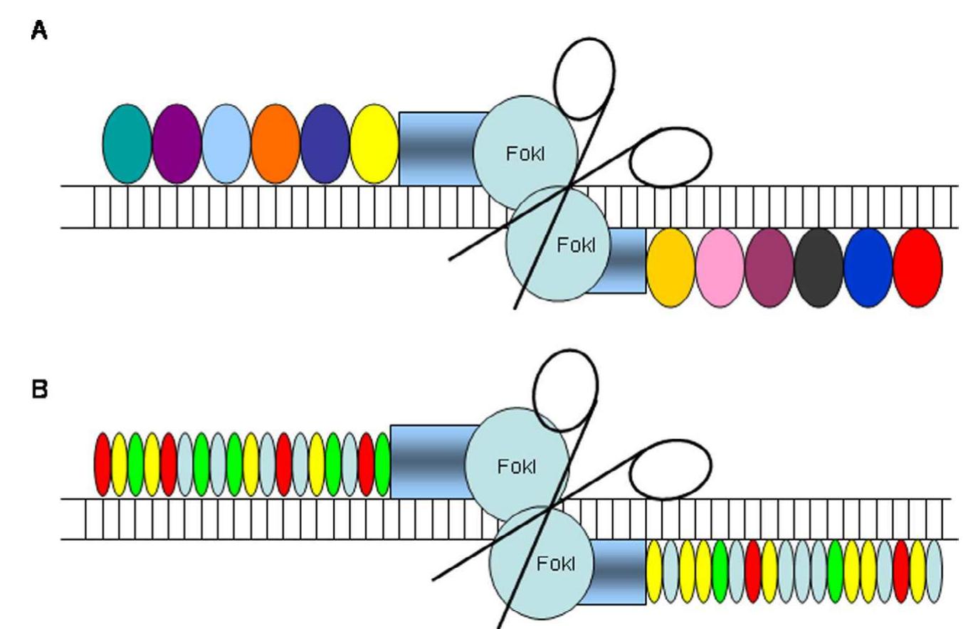 (PDF) Revisiting the paradigm of myostatin in vertebrates: Insights ...