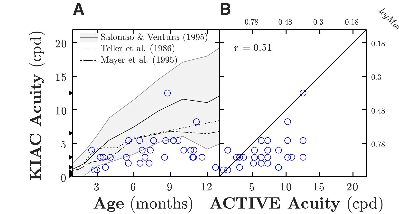 Ficure 4. Geometric-mean visual acuity as measured using Keeler infant acuity cards, shown as a function of (A) age, and (B) each individual’s corresponding eye-tracking estimate (see Fig. 3). Arrows on the ordinate show the available stimulus levels in the test set. 