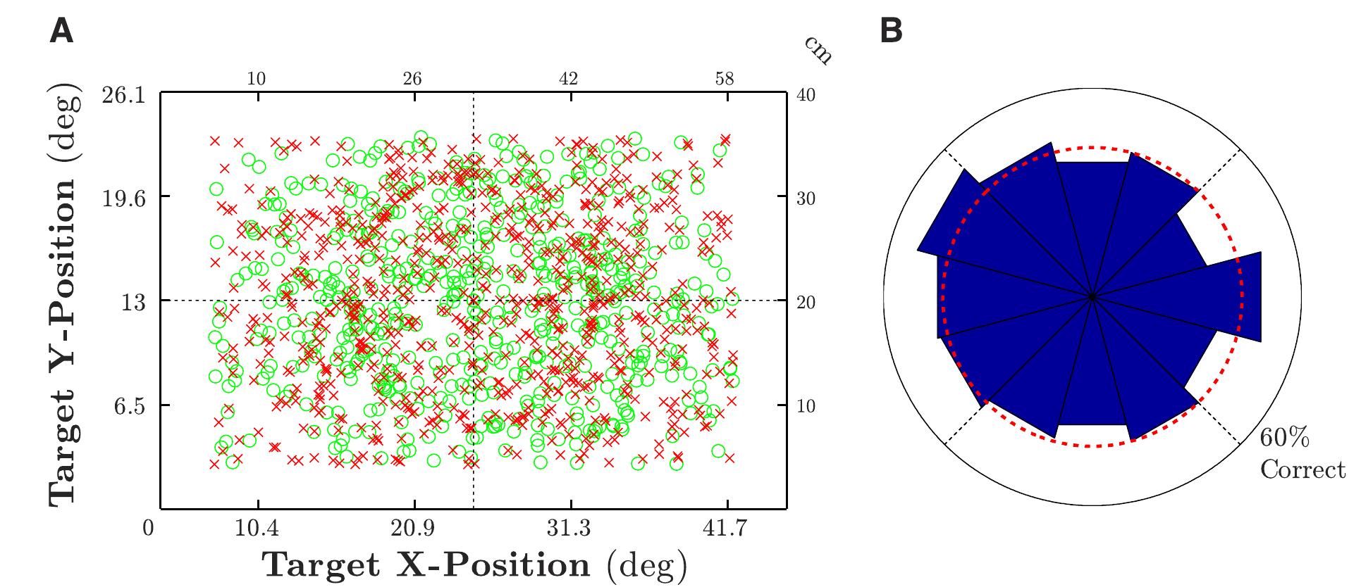 Ficure 6. ACTIVE performance, as a function of (A) absolute target location (in degrees and centimeters, measured from the bottom-left of the screen), and (B) relative target location (relative to gaze-position at trial-onset). The green circles and red crosses in (A) indicate individual hit anc miss trials, respectively, for all infants. The circular histogram in (B) indicates percent correct for 12 equal bins (7 bins was arbitrary, but did not qualitatively affect the result), and the mean across all bins (red, dashed circle). Black dashed lines in (A) and (B) show the four location quadrants used during statistical analyses (see body text). The apparent annulus of points in ([A]; radius = 8°) reflects the fact that the probability of a centra fixation at trial-onset was greater than chance (either because the previous target was located there, or because of the content of the intertria cartoon). 