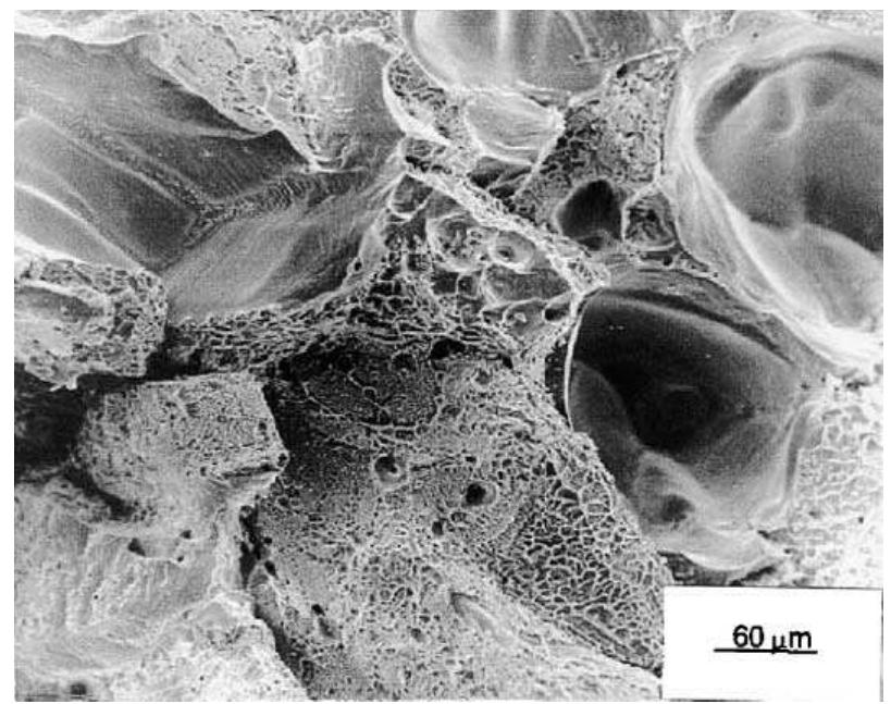 Scanning electron micrograph of the fracture surface of