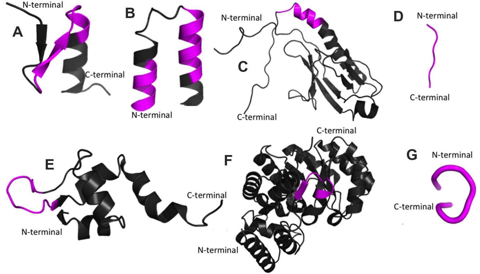 Protein Texturization Structure Ribbon representation of 3-d protein structures of the seven