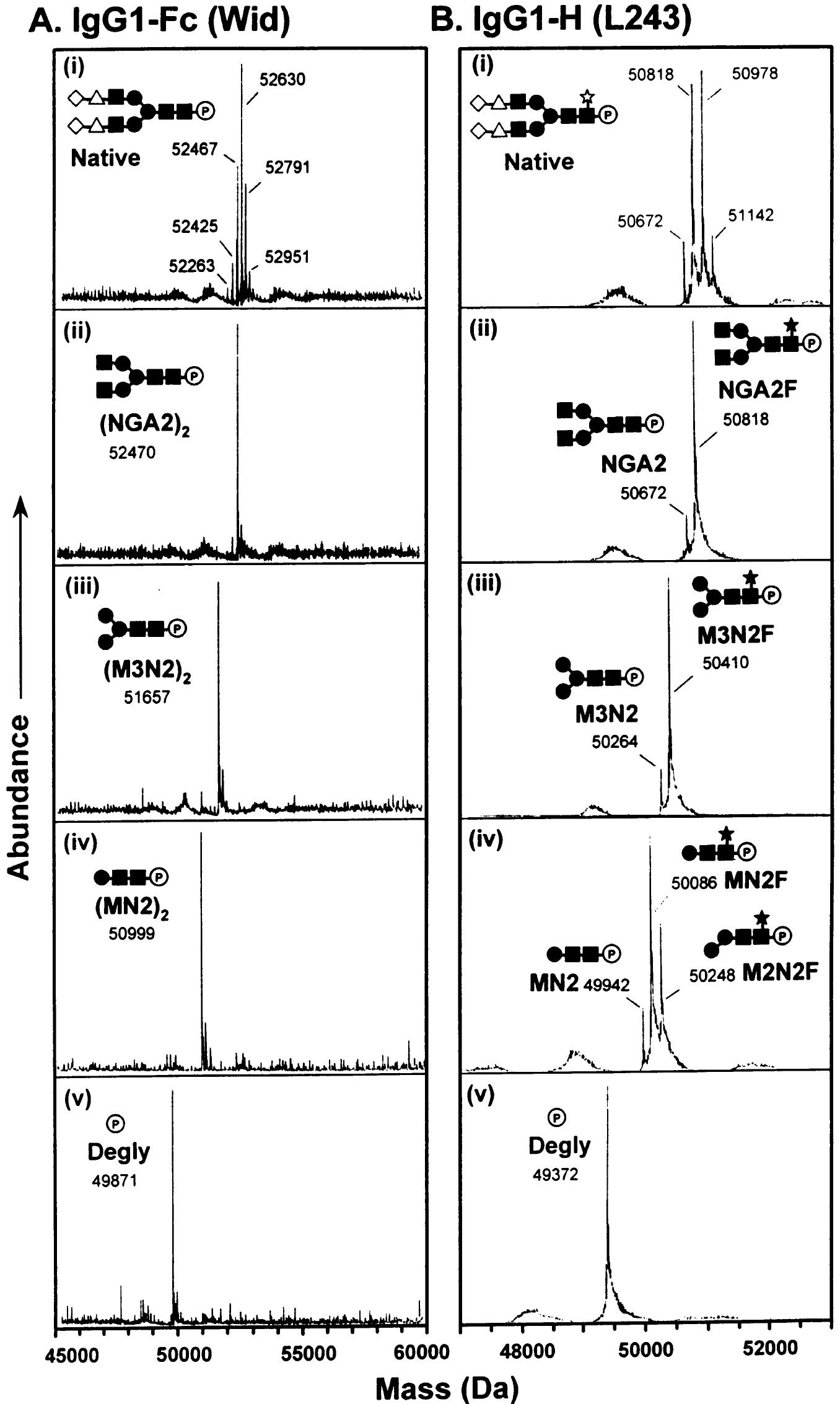 (PDF) The influence of glycosylation on the thermal stability and ...