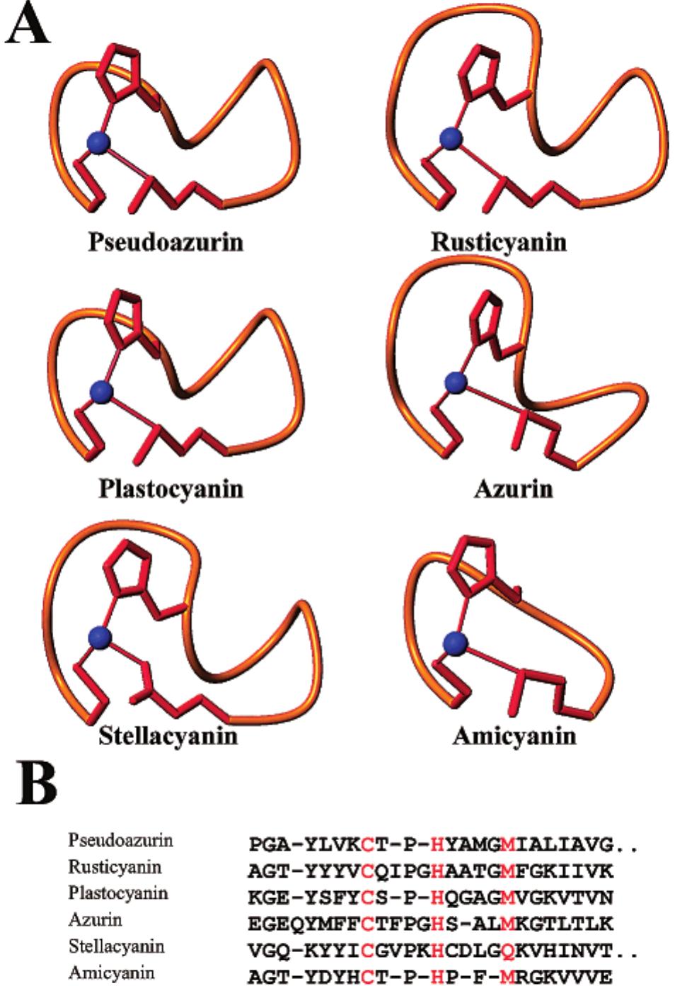 (a) schematic representation of the c-terminal loop