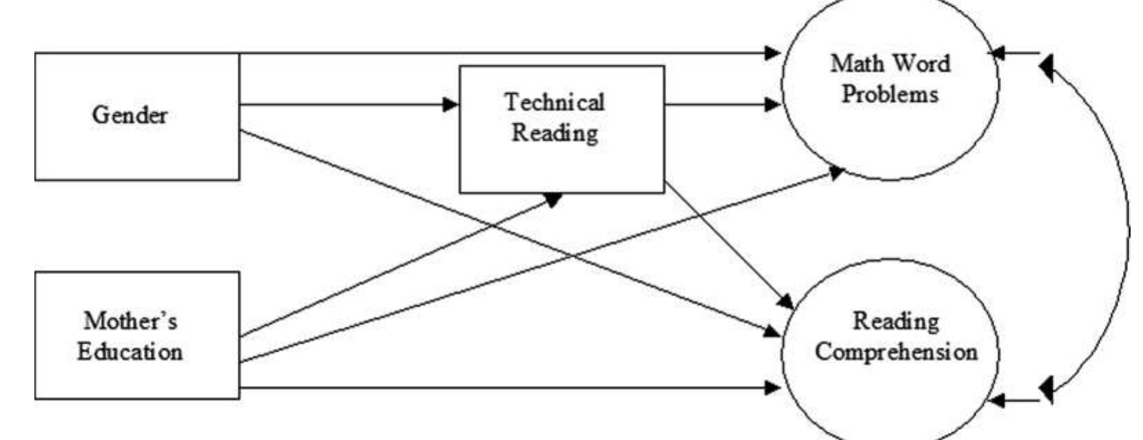 Schematic representation of the path models.