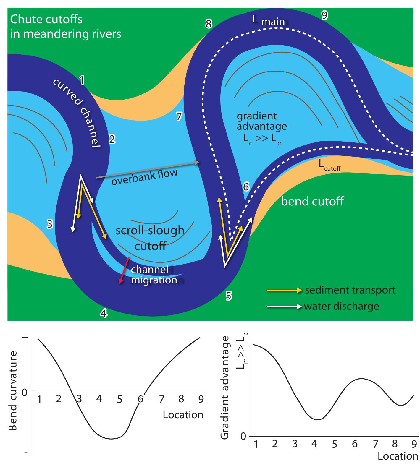 (PDF) Bifurcation instability and chute cutoff development in ...