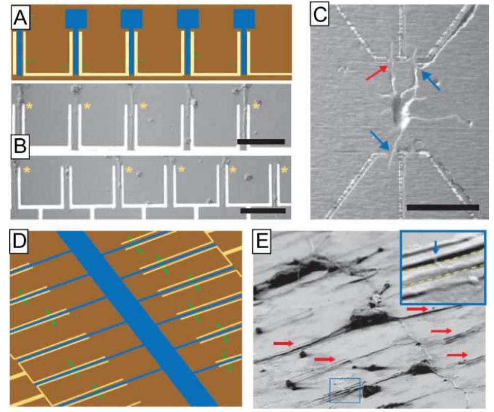 A) schematic of single device/neuron patterning motif used