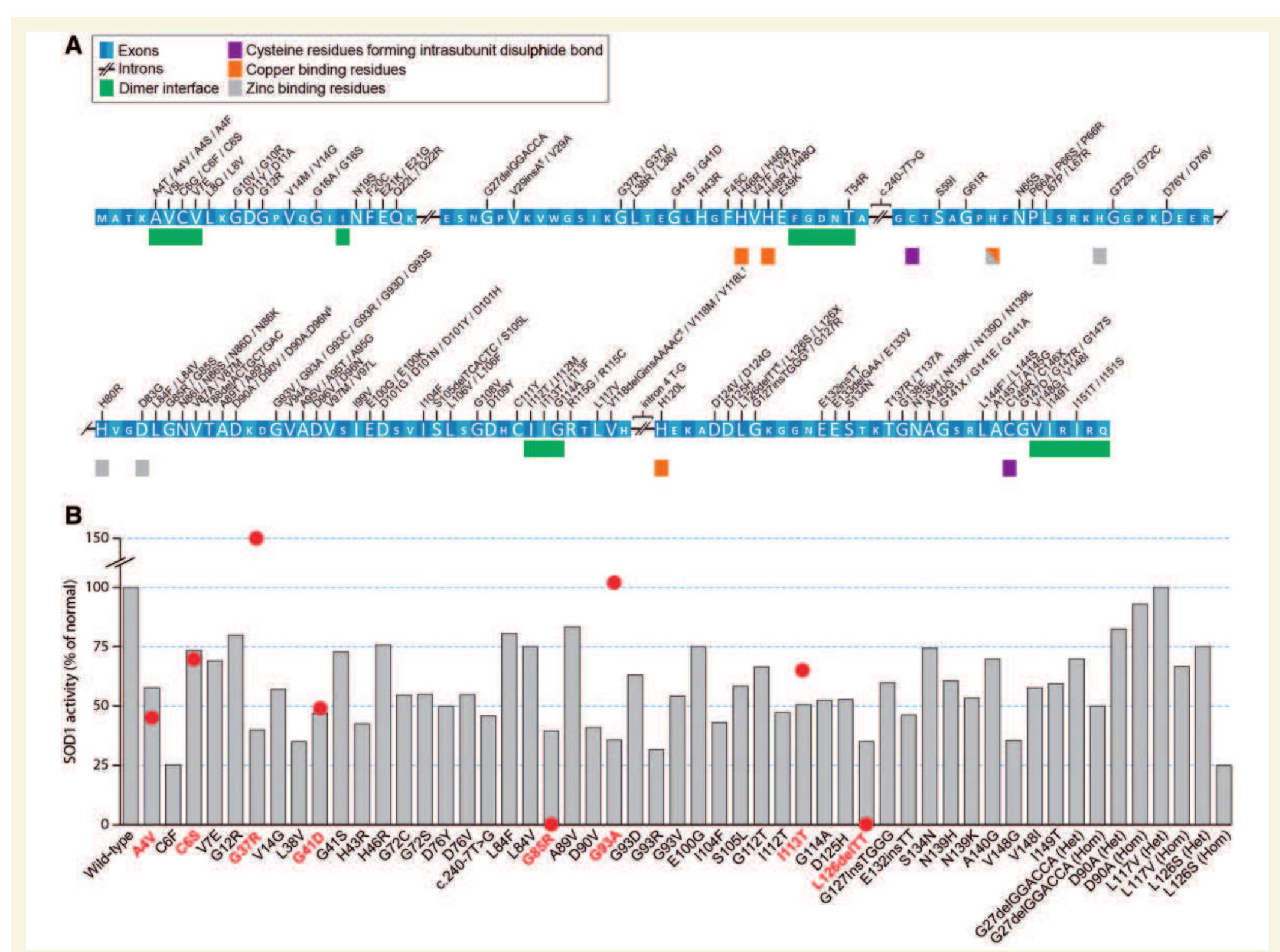 Igure 1 diagram of human sod1 mutations, variants and