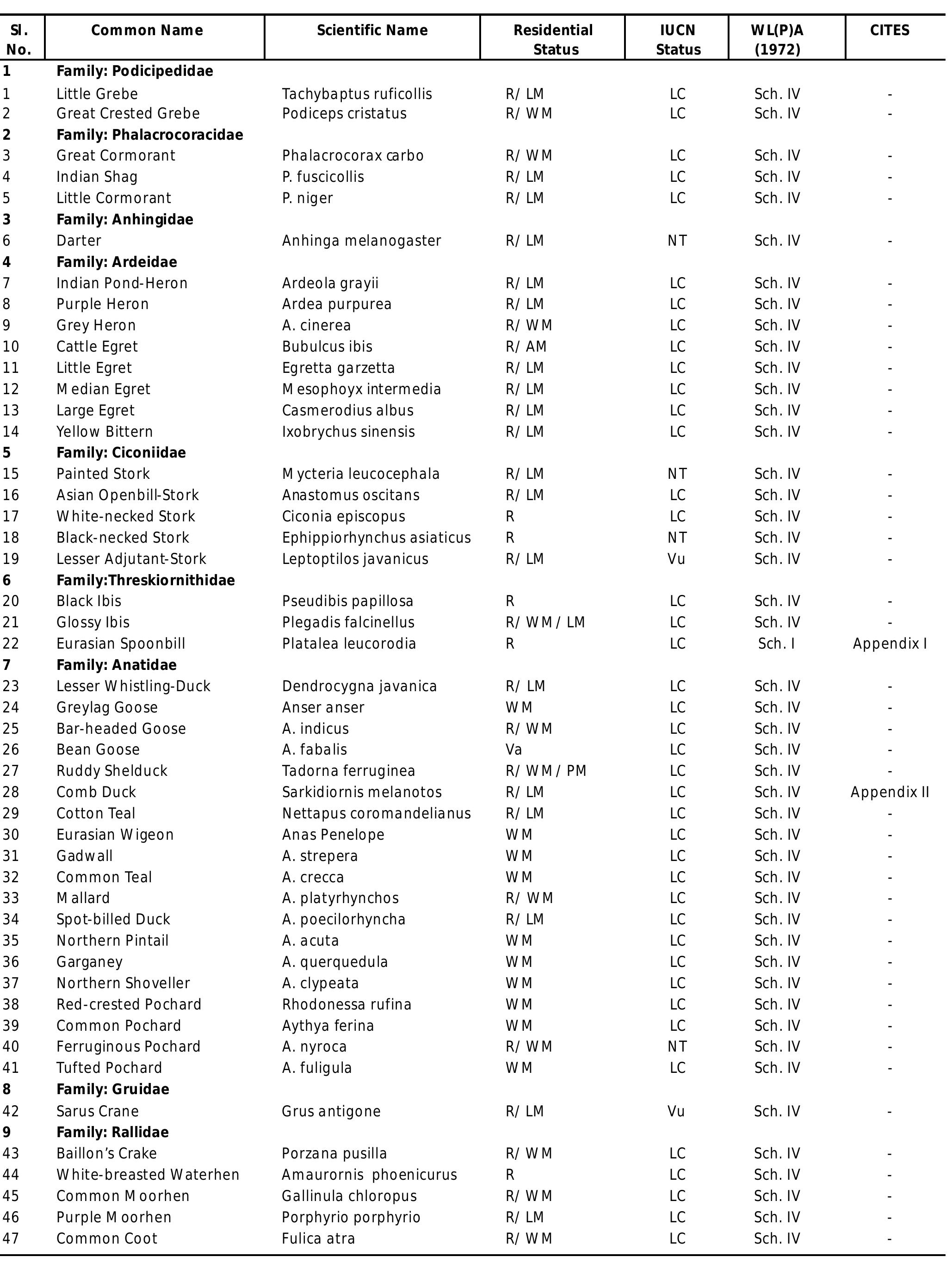 Table 1 : List of waterbirds and wetland dependant birds recorded at Tumariya wetland and their respective residential and conservation status 