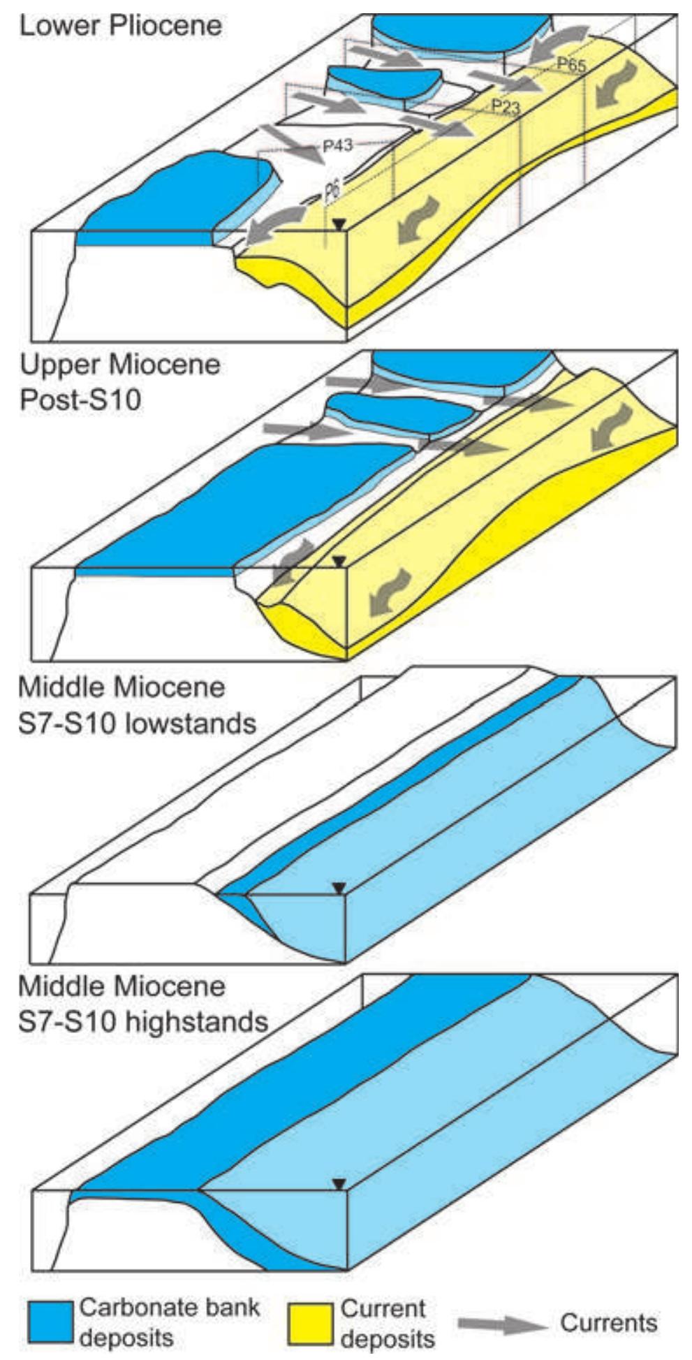 Block diagram sketch showing the middle miocene to pliocene