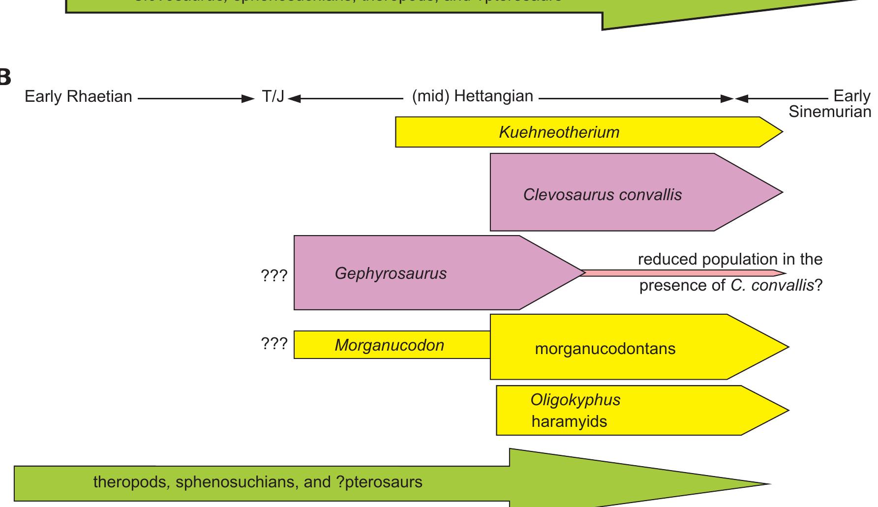 Figure 9 - THE LATE TRIASSIC AND EARLY JURASSIC FISSURE