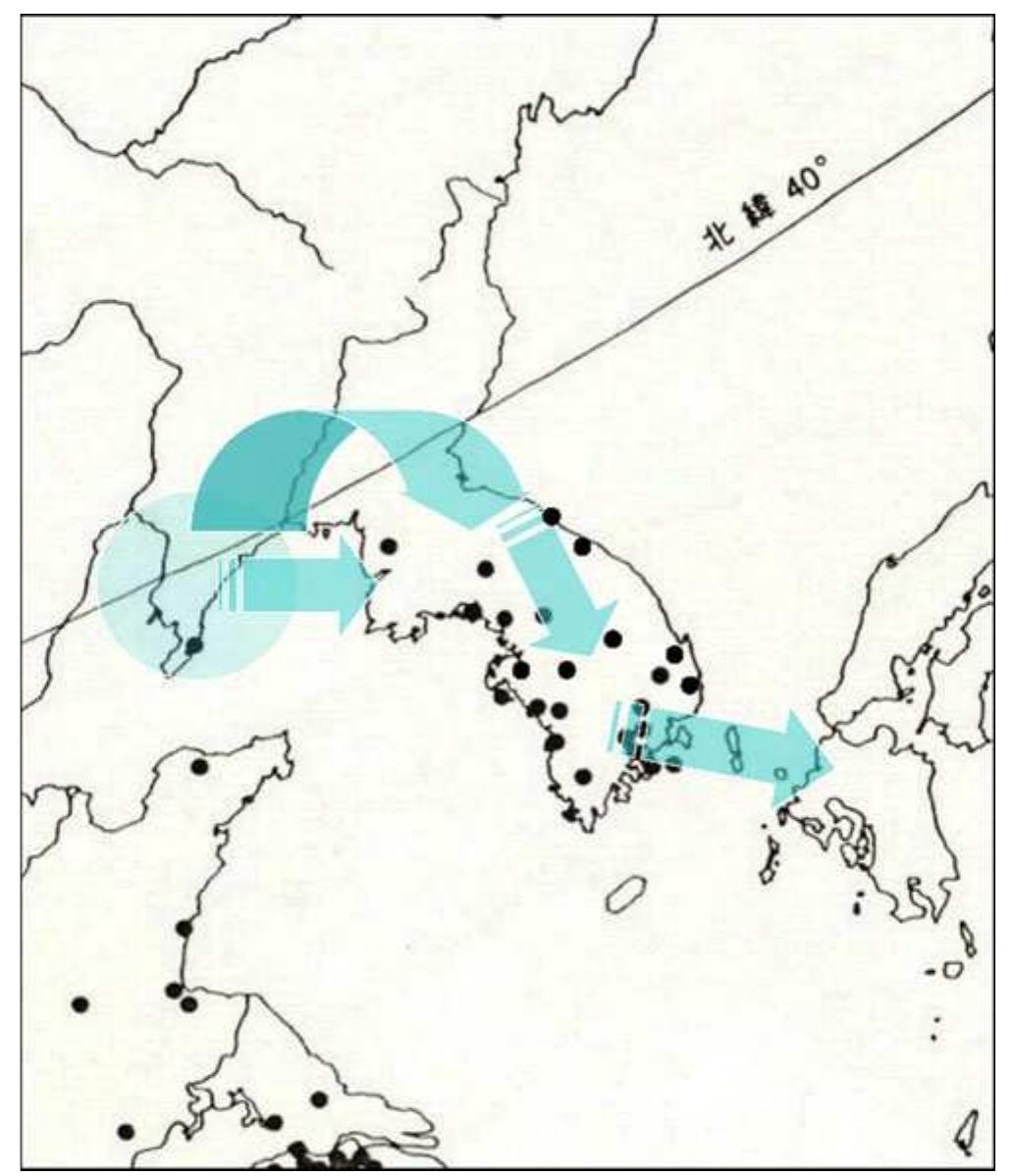 Diffusion route of rice agriculture