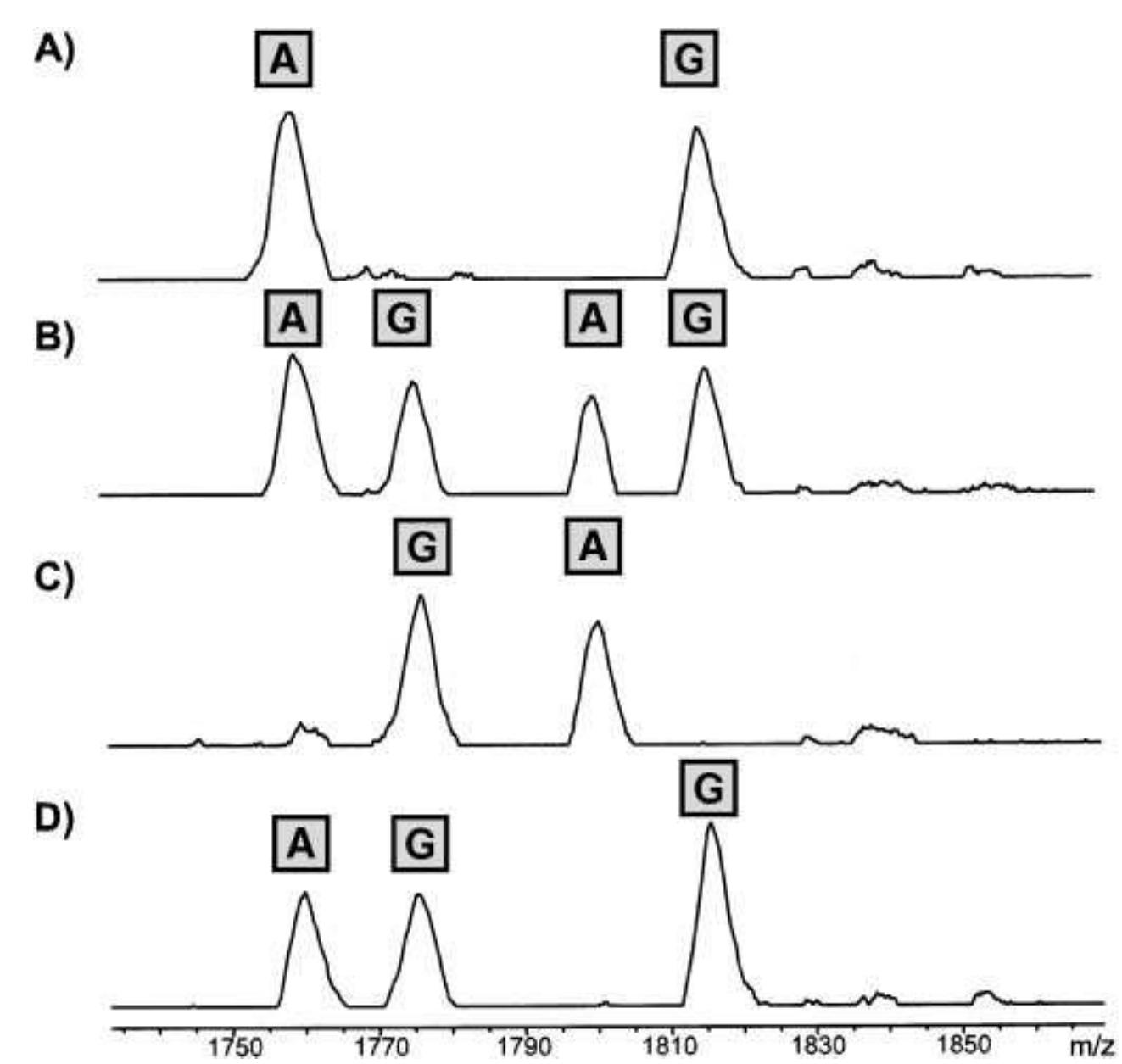 (PDF) Genotyping single nucleotide polymorphisms by MALDI mass ...
