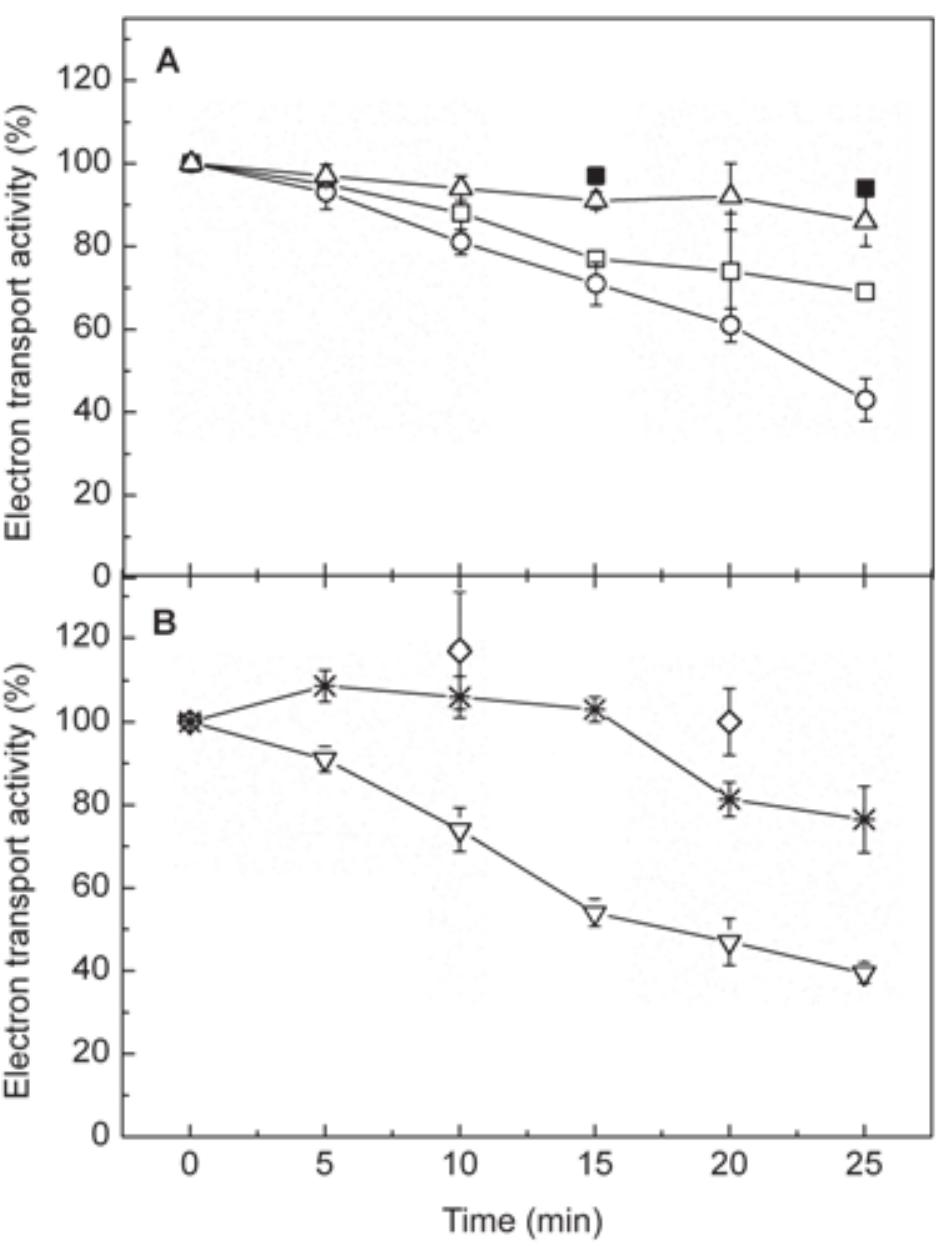 (PDF) Superoxide anion radicals generated by methylviologen in ...