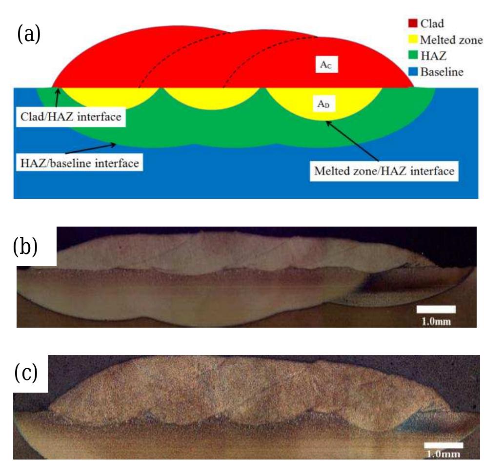 Multiple Cladding Tracks Figure 1 - from Microstructure and Mechanical Properties of