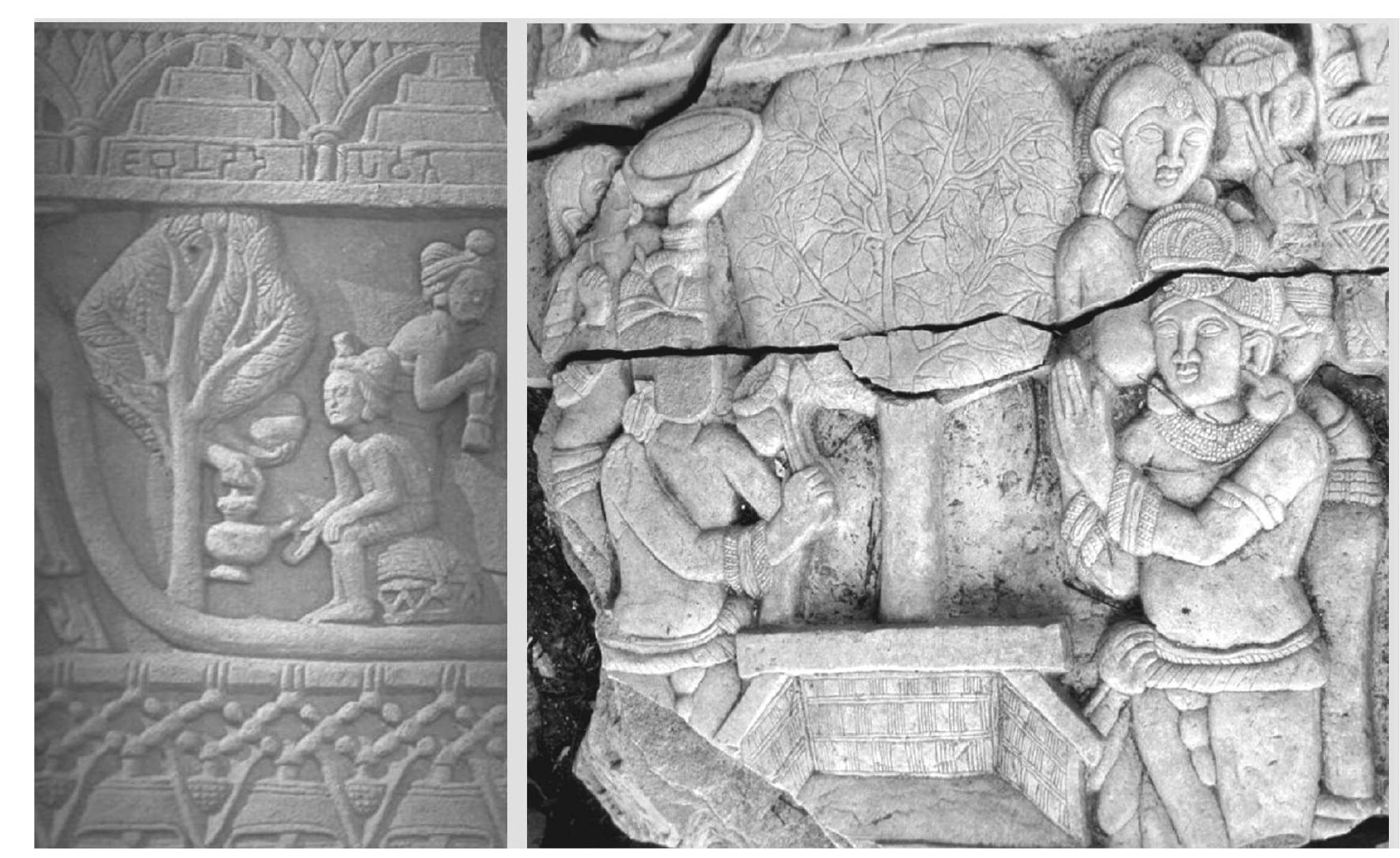 Inscribed ‘jabu nadode pavate’ = rose-apple [jambu] tree on Mount [Luders, Bharhut Inscriptions]  ‘jabu nadode pavate’ = Kanganhalli, Karnataka, Ist century BCE, Buddhas first > [jambu] tree on Mount meditation under jambu tree Rhorhiyut Insecrintions| 