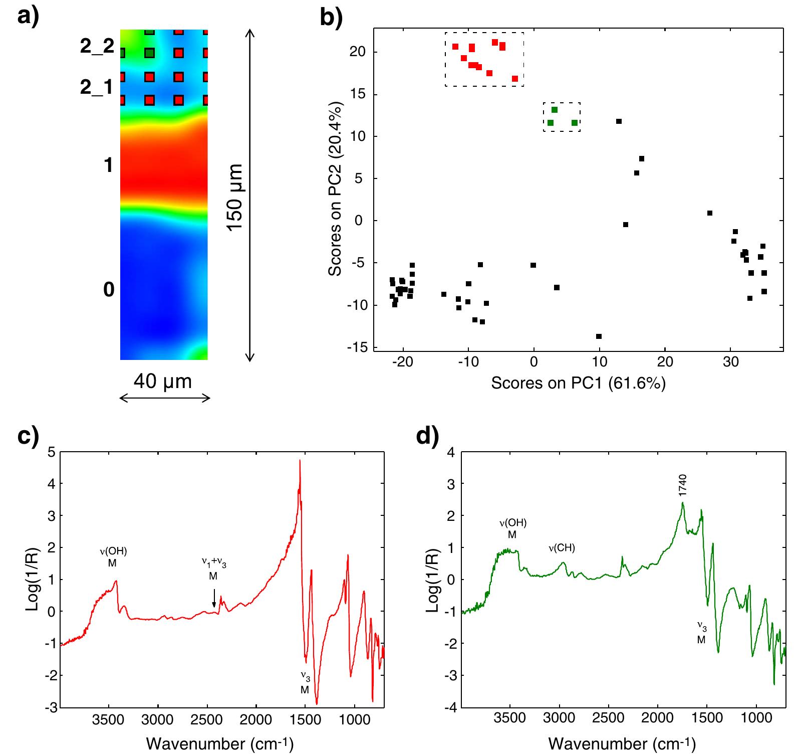 (PDF) Evaluation of the effect of six different paint cross section ...