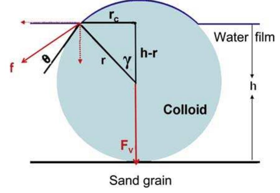 Schematic Of Capillary Forces F On Colloids Trapped In A