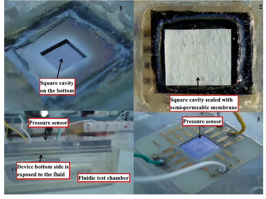 View of Glucose sensor with a testing chamber attached on the bottom