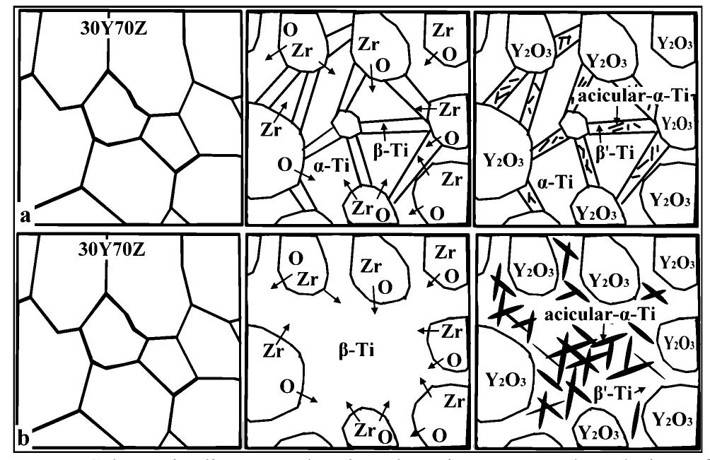 Microstructural Evolution Schematic diagrams showing the microstructural evolution of